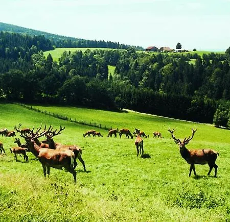 Hauser Hof Grübl Apartamento Waldkirchen