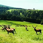 Hauser Hof Gruebl アパート ヴァルトキルヒェン